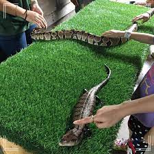 It is the country's poorest city — an astonishing 42 percent of the population lives below the poverty line — and one of the country's most dangerous. A Day With Animals Farm In The City åŸŽã®å†œåœº I M Saimatkong