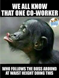 Here we have summed few funny bad boss memes just to cheer you up. 26 Humor Pictures Top Memes Work Humor Work Jokes Work Memes