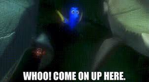 Easily move forward or backward to get to the perfect clip. Yarn Whoo Come On Up Here Finding Nemo Video Gifs By Quotes Df80f813 ç´—