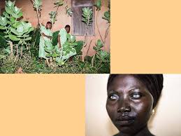 Amazon.com: Stanley Whitney: Afternoon Paintings: 9780947830748: Whitney,  Stanley, Tillman, Lynne: Libros