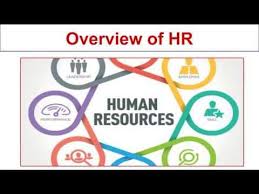 Overview Of Hr Technology Skills Employee Relations Hr Management