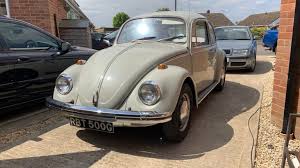 Image result for Chinchilla 1969 Audi