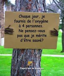 RÃ©sultat de recherche d'images pour "photo de nature"