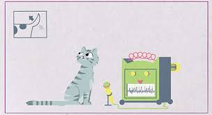Cat Communication Why Do Cats Purr