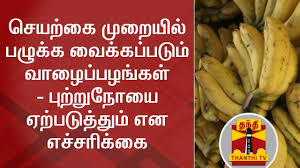 Artificially Ripened Bananas Can Cause Cancer Dharani Nutrition Expert Thanthi Tv Youtube