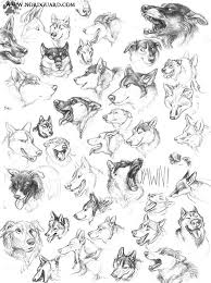 Screwbald S Deviantart Gallery Sketches Animal Drawings Animal Art