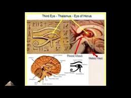 Bible Secret Code Of Meditation Pineal 3rd Eye Christianity Game Over Youtube Bible Meditation Secret Code