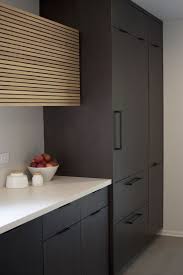 Dark Stained Sleek Kitchen Cabinets With A Wood Tongue And Groove Kitchen Hood Modern Hardware B Modern Kitchen Design Sleek Kitchen Cabinets Sleek Kitchen