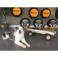 Find great used cars at great prices at betten imports inc. Betten Imports Overview Competitors And Employees Apollo Io
