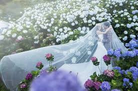 Discover (and save!) your own pins on pinterest Pin On Pre Wedding Photography