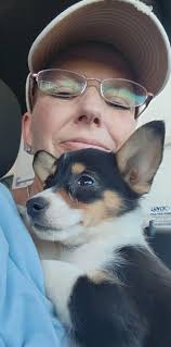 Hello and welcome to the group, Auggie the 12-week-old