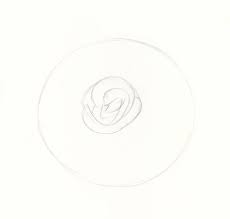️ supplies you might love (amazon. How To Draw Roses An Easy And Complete Step By Step Drawing Demo