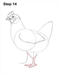 How To Draw A Hen Chicken 14 Chicken Drawing Drawings Cartoon Chicken