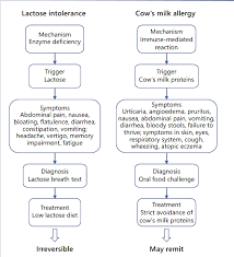 Image result for Lactase Deficiency