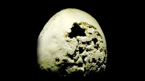 Image result for Neurosyphilis