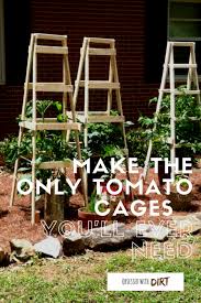 Right after planting, pound in three 4′ tall wooden stakes near each tomato. 10 Cheap And Easy Diy Tomato Cages Gardeners Magazine