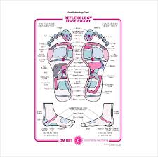 15 Word Reflexology Chart Templates Free Download Free