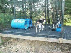 And all these parts must be in balance. Ukc Forums Above Ground Kennel Plans Or Ideas Dog Kennel Flooring Dog Kennel Outdoor Cheap Dog Kennels