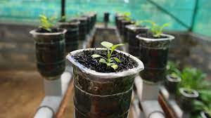 Why are hydroponic gardens used? 33 Amazing Hydroponic Systems For Indoor Gardening