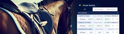 Horse betting apps are useful for betting on the go, watching live races and getting the latest news about your favorite racetracks and runners. Best Betting Apps For Horse Racing In India Get The Latest Apps