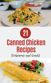 Including healthy chicken salads, stews, soups, and skewers. 21 Delicious And Quick Canned Chicken Recipes Live Like You Are Rich
