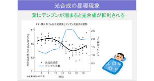 イトウさんのちょっとためになる農業情報 第28回 ソースとシンク 後編 アグリノート