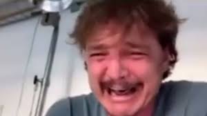We are left with many questions here, but we're also left laughing hysterically so it's all good. Pedro Pascal Laughing Then Crying Know Your Meme