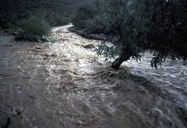 Rillito River Flood Of 1983 Damage In 1982 Floods Of October 1983 Insights Into Flood Hazards Flood Rains Natural Disasters