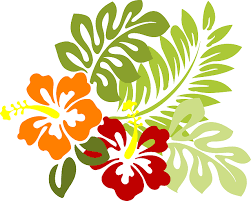 Gambar fotos gambar gambar vektor ilustrasi video. Vektor Bunga Png Koleksi Gambar Bunga Vektor Hibiscus Clip Art 3777628 Vippng