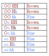 How Blue Eyed Parents Can Have Brown Eyed Children