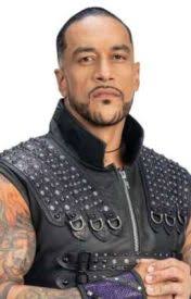 The Neighborhood Bullies ~ Seth Rollins