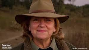 Growing up with Tigers