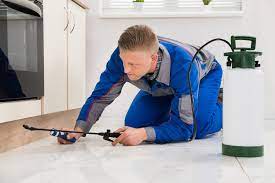 Hulett environmental services is a pest control company in miami, fl, that you can trust. Bee Critter Removal Rat Rodent Control In Miami Beach Fl