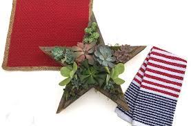 Look for plants that grow slowly and stay small so you won't need to replant them continuously. 4th Of July Diy Star Shaped Planter W Succulents The Succulent Eclectic