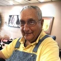 Ronald Dean Holm Obituary (2024)