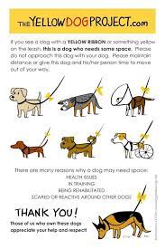 Brilliant Please Please Please If You Have Dogs I Encourage You To Do This And Teach Those Who Don T Have Dogs What It Means This W Dog Projects Dogs Pets