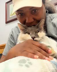 Air shuttle ln-b0b retires after 19 years