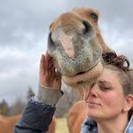 Kristi Gentile's Instagram, Twitter & Facebook