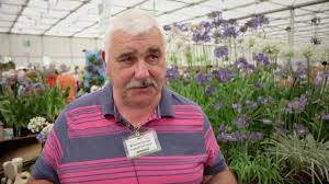 Check spelling or type a new query. How To Grow Agapanthus African Lily Bbc Gardeners World Magazine