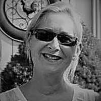 My No-Knead Bread Cookbook: From the Kitchen of Artisan Bread with Steve by  Steve Gamelin