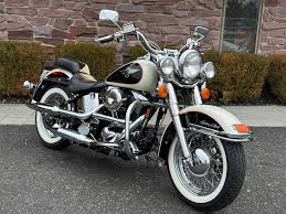 Image result for Gris Amatista 1993 Motorcycle
