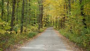 Maybe you would like to learn more about one of these? Integrative Yoga Therapy Janna Delgado