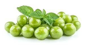 Image result for Coccinia sp. A