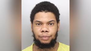 Man accused of stabbing, killing family dog in Millvale