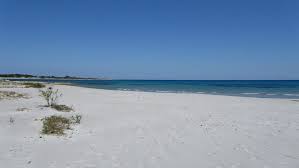 Haus Am Meer Mit Direktem Zugang Zum Strand Fewo Direkt Haus Am Strand Ferienhaus Sardinien Urlaub Reisen