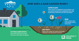 Decide on rain garden placement. Rain Gardens Property Pros Land Management