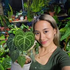 assorted plants 🌷50 each