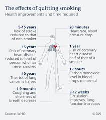 There is little to no recovery period, and often i feel great after stopping smoking; I Finally Quit Smoking Cigarettes And It S Paying Off Health Wise Science In Depth Reporting On Science And Technology Dw 10 10 2019