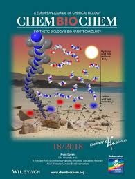 21.06.2018 das festival war vor 856 tagen. Front Cover A Possible Path To Prebiotic Peptides Involving Silica And Hydroxy Acid Mediated Amide Bond Formation Chembiochem 18 2018 Chembiochem X Mol