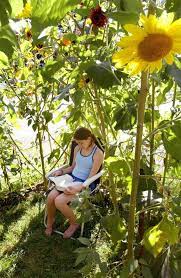 Backyard Crafts Handmade Charlotte Sunflower House Sunflower Garden Backyard Crafts